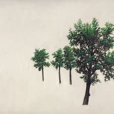 Zeng Hao