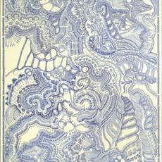 Chiyuki Sakagami 坂上 チユキ