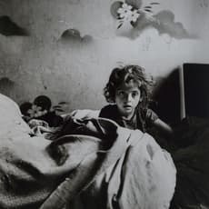Roman Vishniac