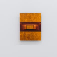 Willy Kautz - Jippies Asquerosos