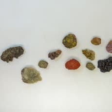 Atelier Lachaert Dhanis