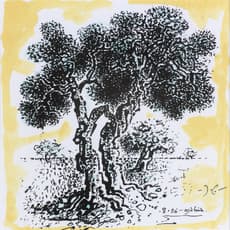 John Craxton