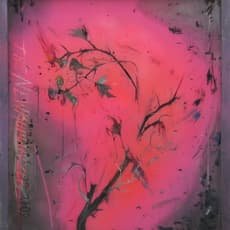 Tilman Hornig