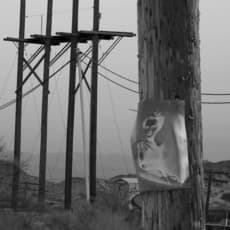 Anthony Goicolea