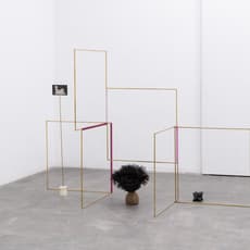 Claudia Peña Salinas