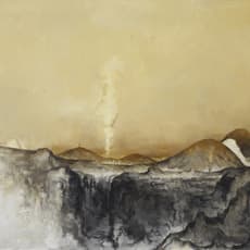 Su Xinping