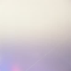 South Ho Siu Nam 何兆南