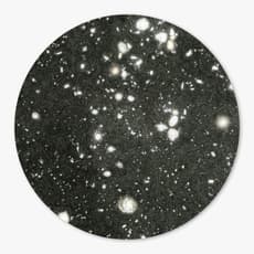 Mia Rosenthal
