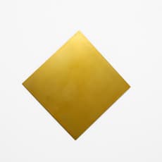 Ann Veronica Janssens