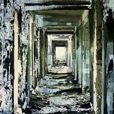 Dmitry Okruzhnov and Maria Sharova