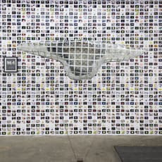Ragen Moss