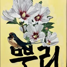 David Young Kim