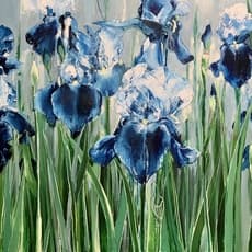 Liz Gray