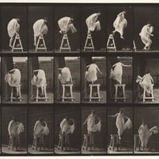 Eadweard Muybridge