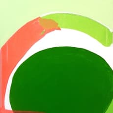 Juan Alberto Negroni