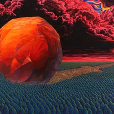 Ahn Doo Jin