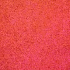 Elizabeth Kunoth KNGWARREYE