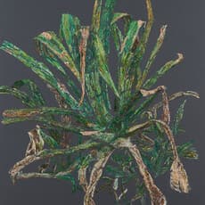 Eunjin KIM 김은진