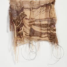 Carola Friess