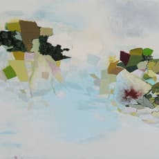 Shona MacDonald