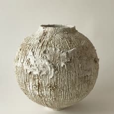 Jane Yang D’Haene