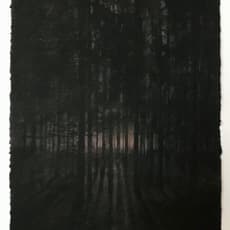 Magnus Petersson