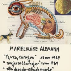 Marie Louise Alemann
