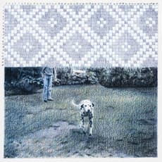 Dominique Schwarzhaupt