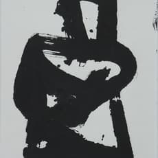 Wang Dongling 王冬龄