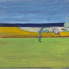 Richard Diebenkorn