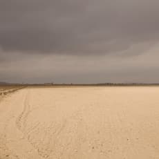 José Guerrero (b. 1914)