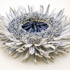 Zemer Peled