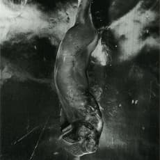 Shomei Tomatsu