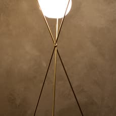 Michael Anastassiades