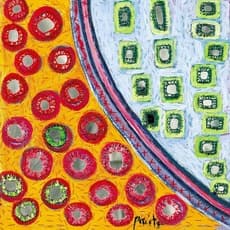 Pacita Abad, Partial eclipses (2000) by Pacita Abad