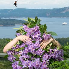 Sage Szkabarnicki-Stuart