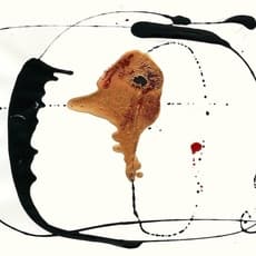 Franciszka Themerson