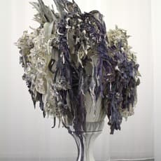 Anne Wenzel
