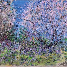 Li Yushuang 李玉双