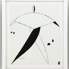 Denise Kupferschmidt