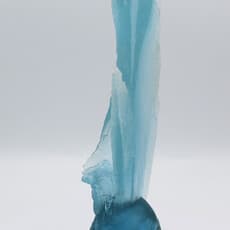 Angela Thwaites