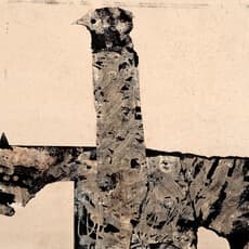 Alexander Weatherson