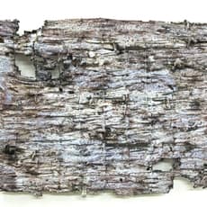 Terese William Waenerlund