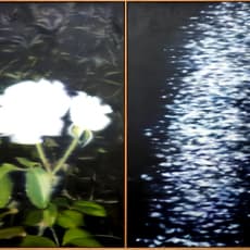 Koji Yamaguchi
