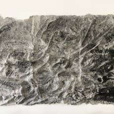 Tzung-Hui Lauren Lee