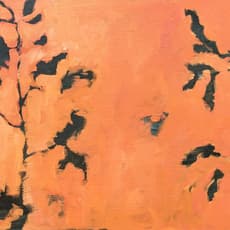 Joanna Mercedes Skurska