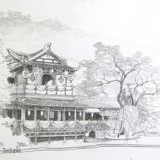 Kai Ming Kong