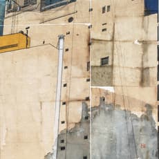 Levani (Levan Mindiashvili)