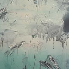 Feng Lianghong 冯良鸿