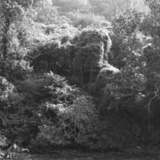 Alastair and Fleur Mackie